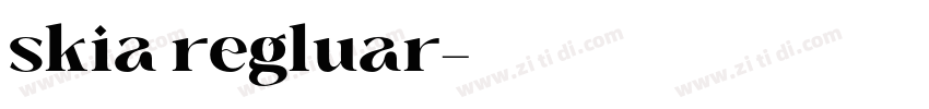 skia regluar字体转换